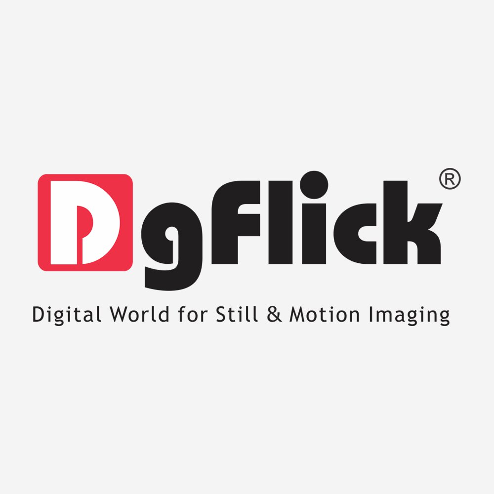 DgFlick -- Software